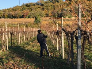 Stralcio Fase 1