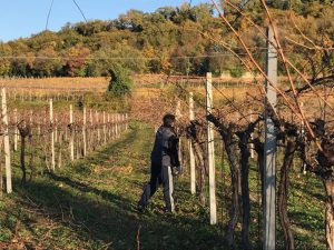 Stralcio Fase 2