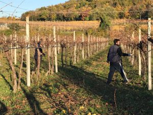 Stralcio Fase 3