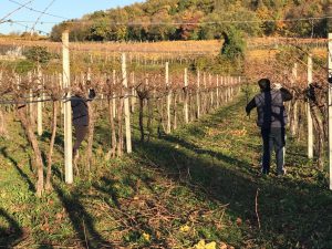 Stralcio fase 4